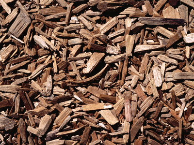 Wood Chips