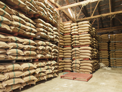 Tea Sacks